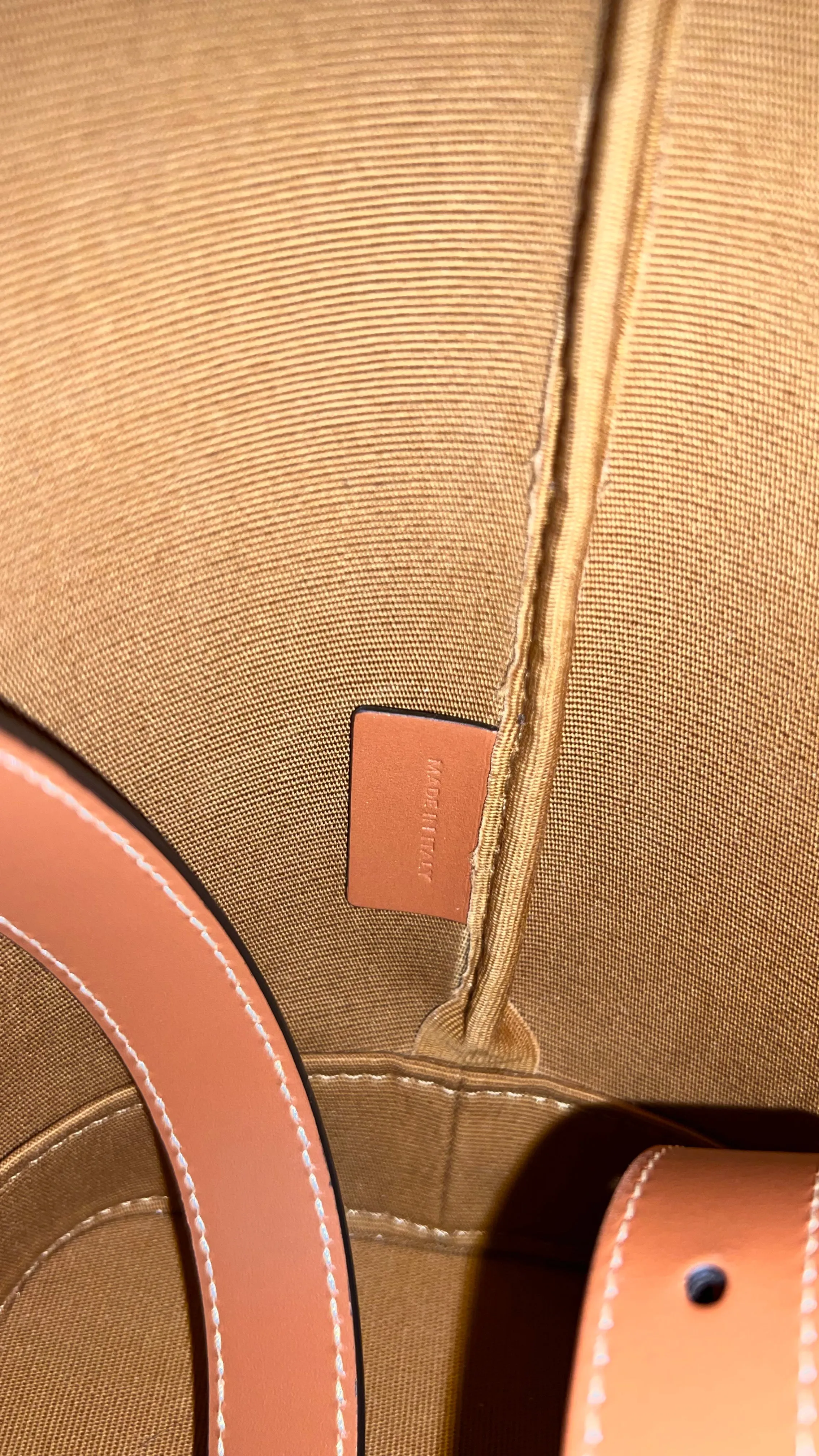 Celine Triomphe Bucket Bag