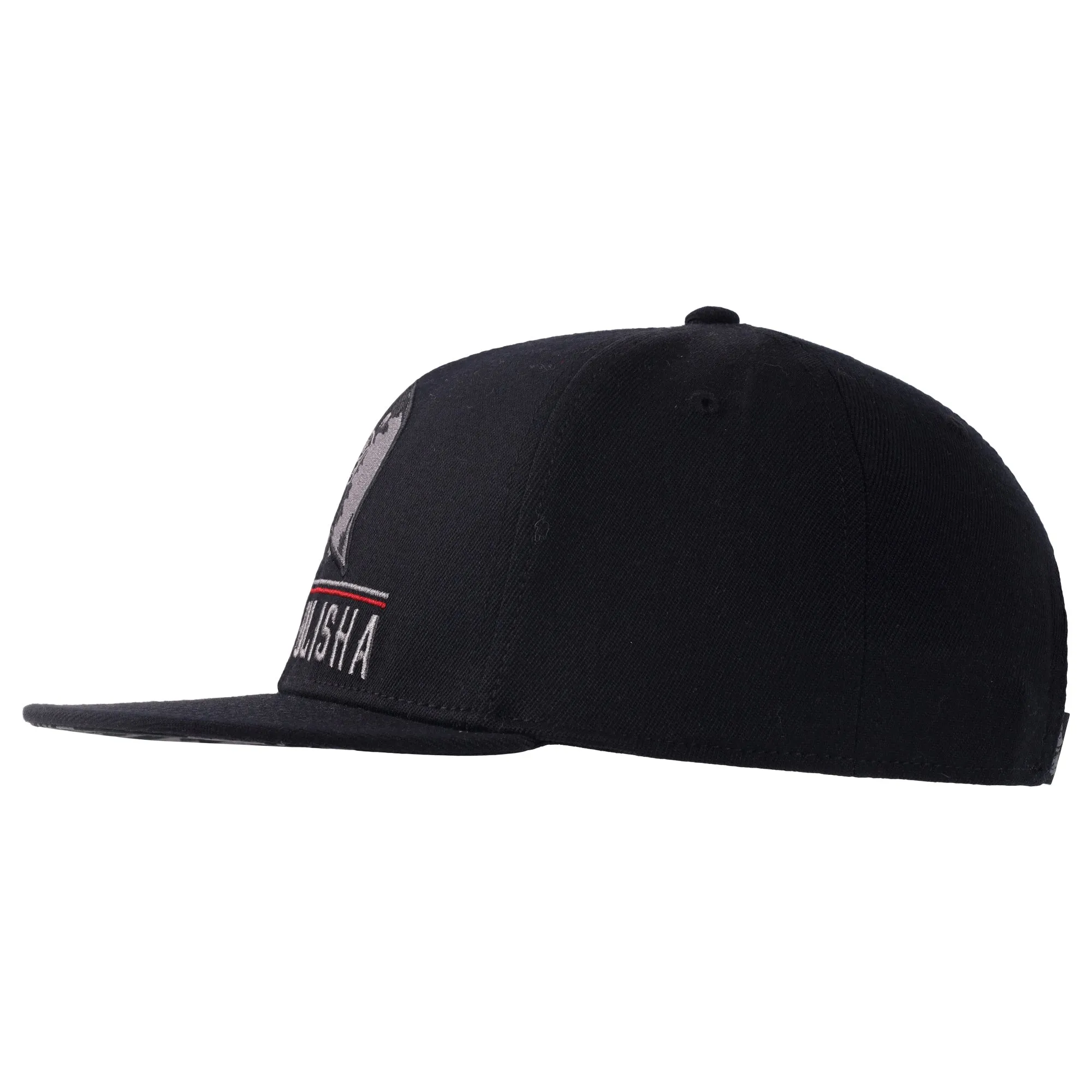 LINEAR SNAPBACK HAT